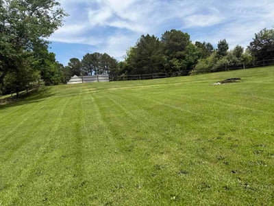 Lawn Care service in Gainesville, 30501