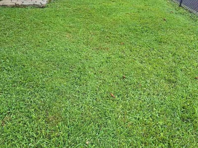 Lawn Care service in Gainesville, 30501
