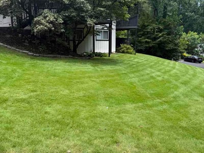 Lawn Care service in Gainesville, 30501
