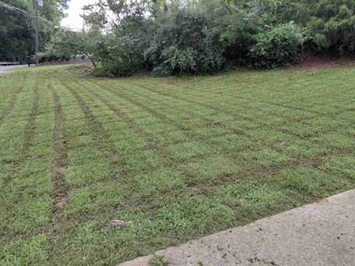 Lawn Care service in Wheeling, 26003