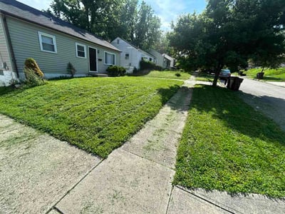 Lawn Care service in Wheeling, 26003