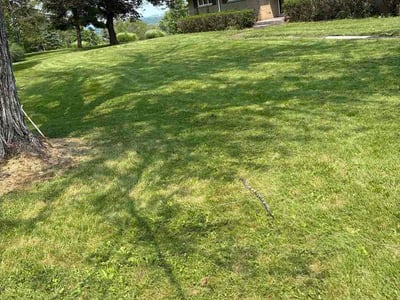 Lawn Care service in Belle Vernon, 15012
