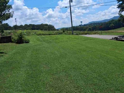 Lawn Care service in Sevierville, 37862