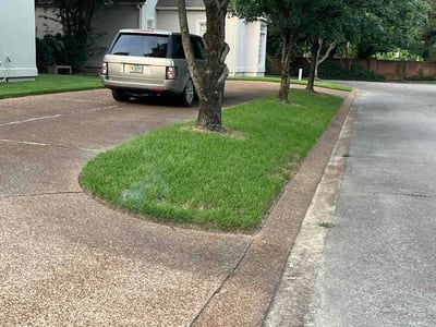 Lawn Care service in Sevierville, 37862