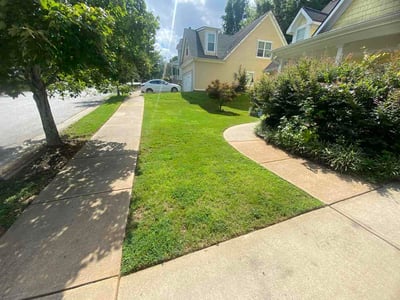 Lawn Care service in Athens, 30601