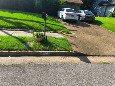 Lawn Care service in Sevierville, 37862