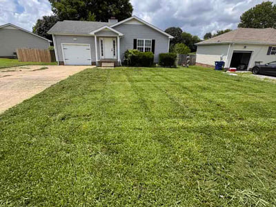 Lawn Care service in Sevierville, 37862