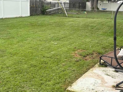 Lawn Care service in Claymont, 19703