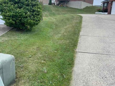 Lawn Care service in Capitol Heights, 20743
