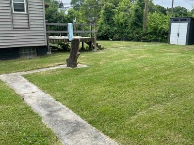 Lawn Care service in Monroe, 98272
