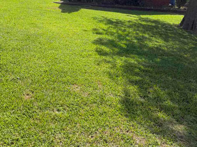 Lawn Care service in Tyler, 75702