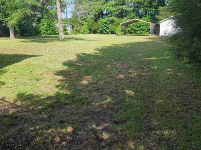 Lawn Care service in New Bern, 28560