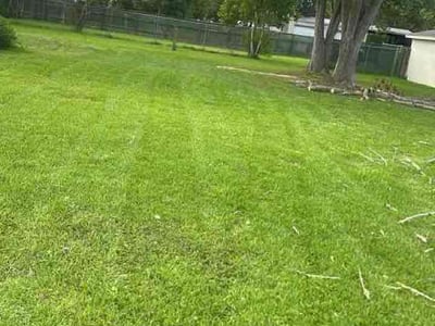 Lawn Care service in Menifee, 92586