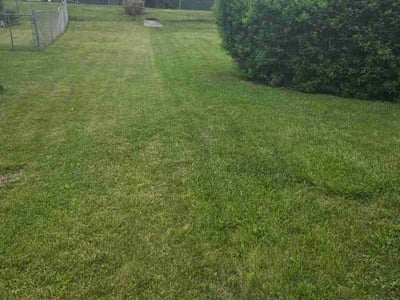Lawn Care service in ,