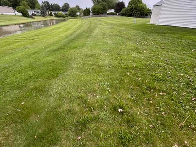 Lawn Care service in Auburn Hills, 48326