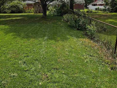 Lawn Care service in District Heights, 20747