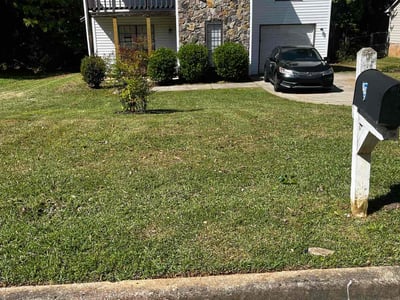Lawn Care service in Lodi, 95240