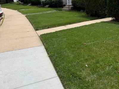 Lawn Care service in District Heights, 20747