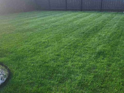 Lawn Care service in West Fargo, 58078