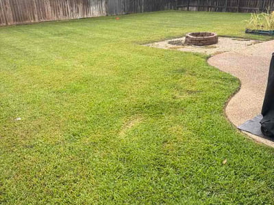 Lawn Care service in College Station, 77840