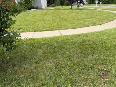 Lawn Care service in Traverse City, 49684