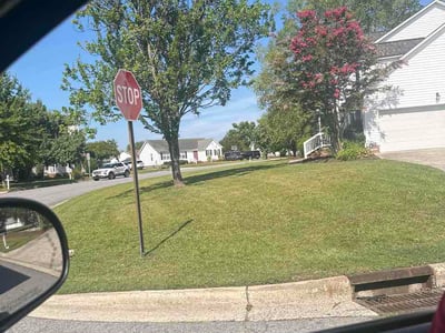 Lawn Care service in Mebane, 27302