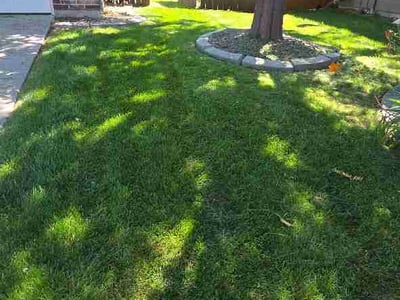 Lawn Care service in Meridian, 83642