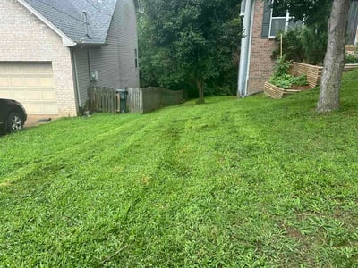 Lawn Care service in Madison, 37115