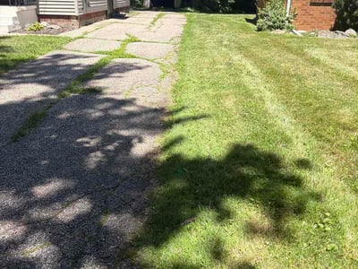 Lawn Care service in Traverse City, 49684