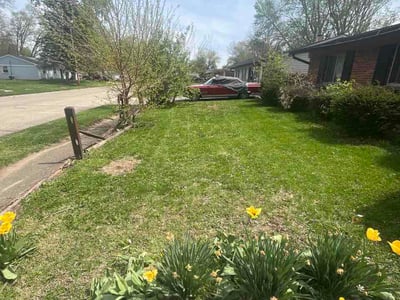 Lawn Care service in Weirton, 26062