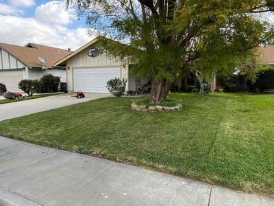 Lawn Care service in Colton, 92324