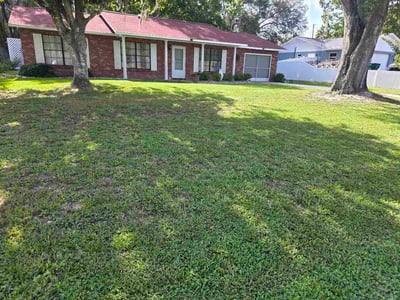 Lawn Care service in Inverness, 34452