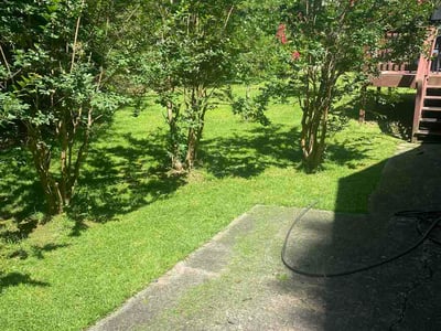 Lawn Care service in Eureka, 95501