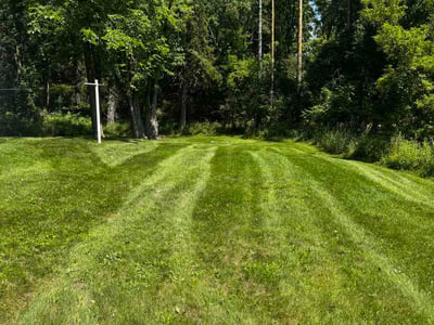 Lawn Care service in East Lansing, 48823