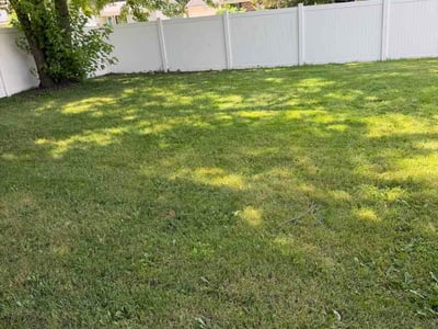 Lawn Care service in East Lansing, 48823