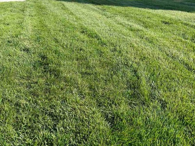 Lawn Care service in Dover, 03820
