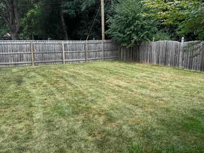 Lawn Care service in East Lansing, 48823