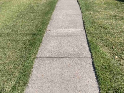 Lawn Care service in Holyoke, 01040