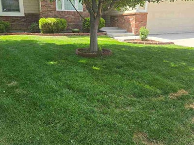 Lawn Care service in Dover, 03820