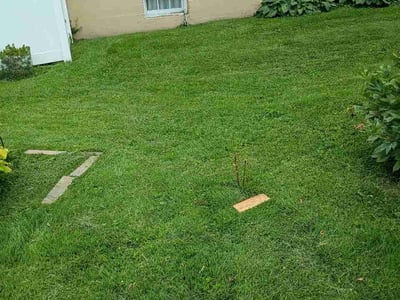Lawn Care service in Marshfield, 65706
