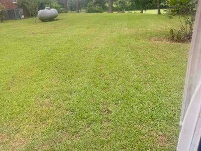 Lawn Care service in Smithfield, 27577