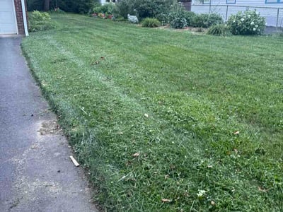 Lawn Care service in Princeton, 08542