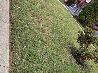 Lawn Care service in Hyattsville, 20781