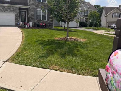 Lawn Care service in Princeton, 08542