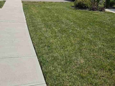 Lawn Care service in Princeton, 08542