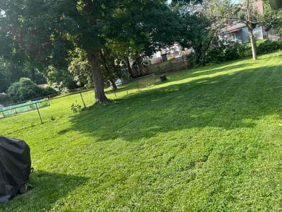 Lawn Care service in Hyattsville, 20781