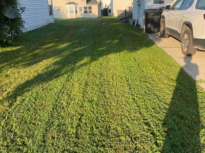 Lawn Care service in Hyattsville, 20781