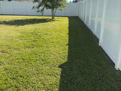 Lawn Care service in Endicott, 13760