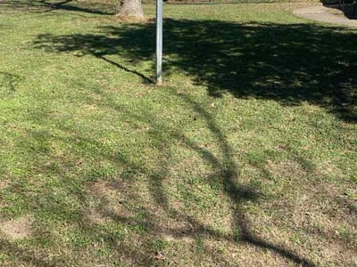 Lawn Care service in Endicott, 13760