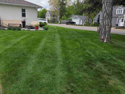 Lawn Care service in Champlin, 55316